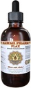 Linavedelik ekstrakt, orgaaniline lina (Linum usitatissimum) Tinktuuri lisa 4 oz
