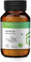 Sheltr Alfalfa tabletid, Medicago Sativa, Kõik looduslikud, puhtad maitsetaimed 500mg x 120 tabletti