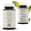 HerbEra Dandelion Leht USDA Orgaaniline 60 Kapsel | Looduslik Taimne Täiendus | Sertifitseeritud Orgaanilised Taimekapslid ja Orgaaniline Dandelion (Taraxacum Officinale) Kuivatatud Leht (60 kapslit)
